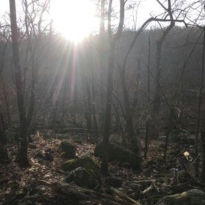 Meet your Posher, Ben